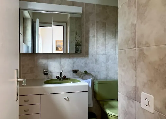 Casa Fior Di Loto By Interhome Gordola